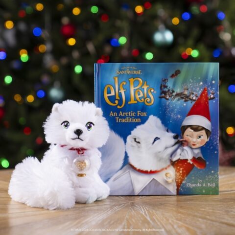 Why Choose an Elf Pets Arctic Fox and How It Creates Magical Moments All Year Long