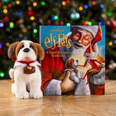 What to do with an Elf Pets Saint Bernard and how to introduce it to your family
