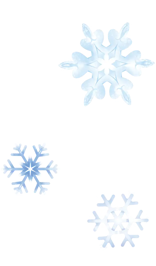 Snowflakes
