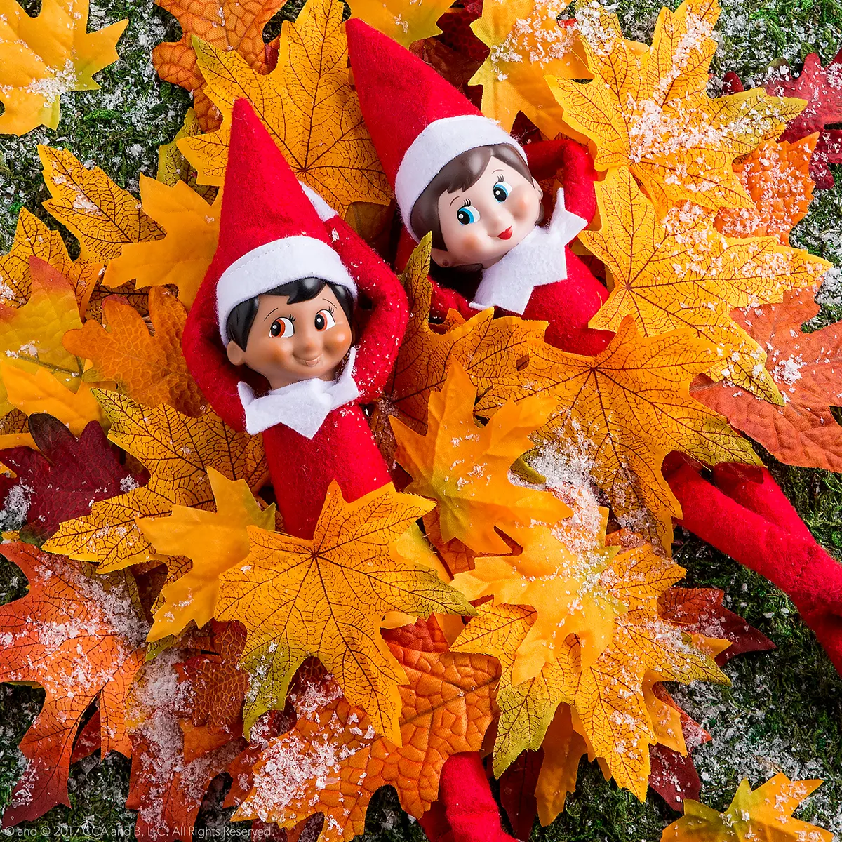 The Elf on the Shelf boy elf with brown eyes and girl elf with blue eyes in the grass covered with orange and brown leaves