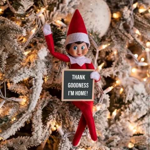 The Elf on the Shelf Scout Elf girl sits in a lit Christmas tree holding a sign that says Thank Goodness I'm Home