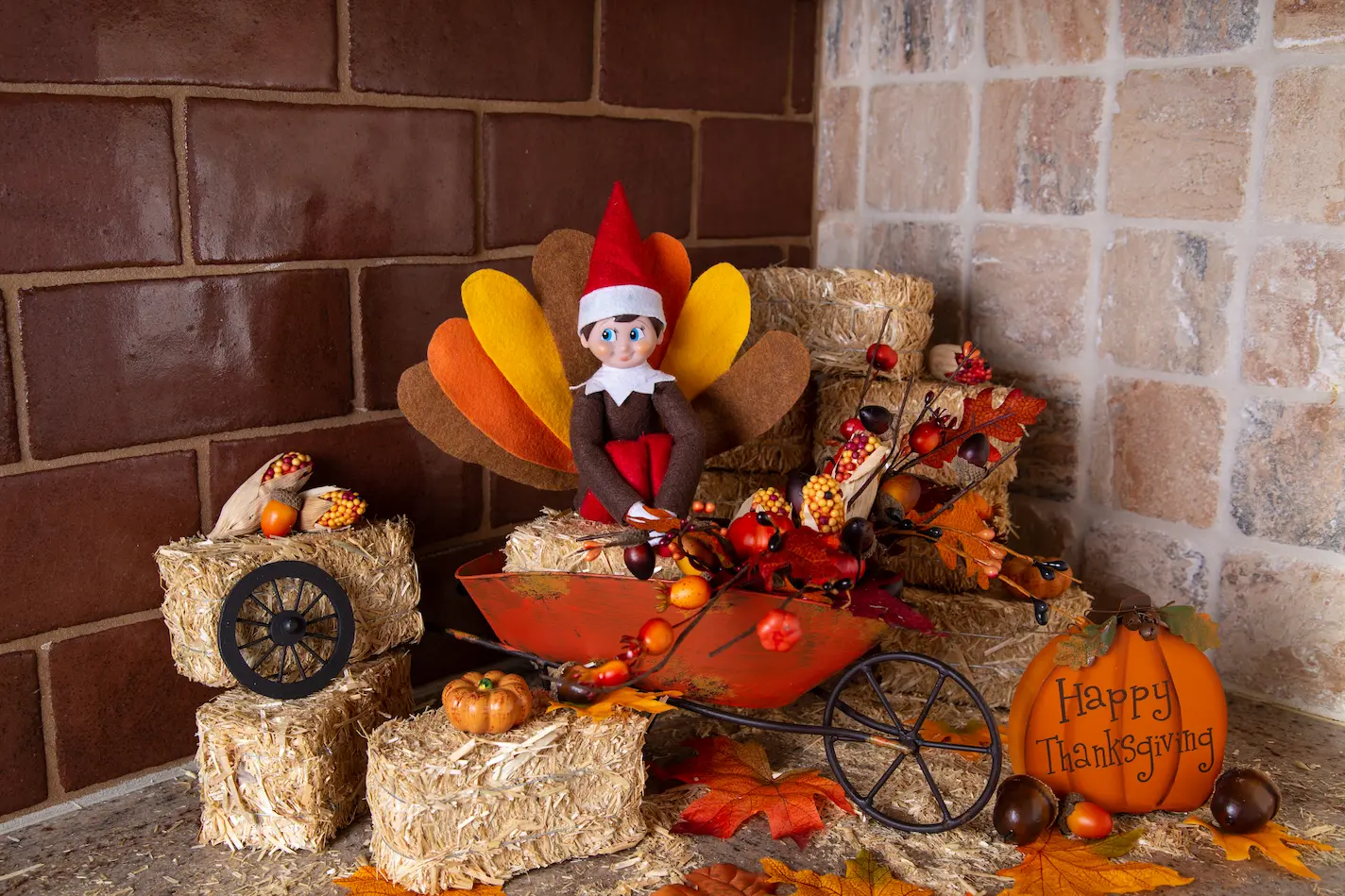 The Elf on the Shelf is dressed as a Thanksgiving turkey sitting on small piles of straw