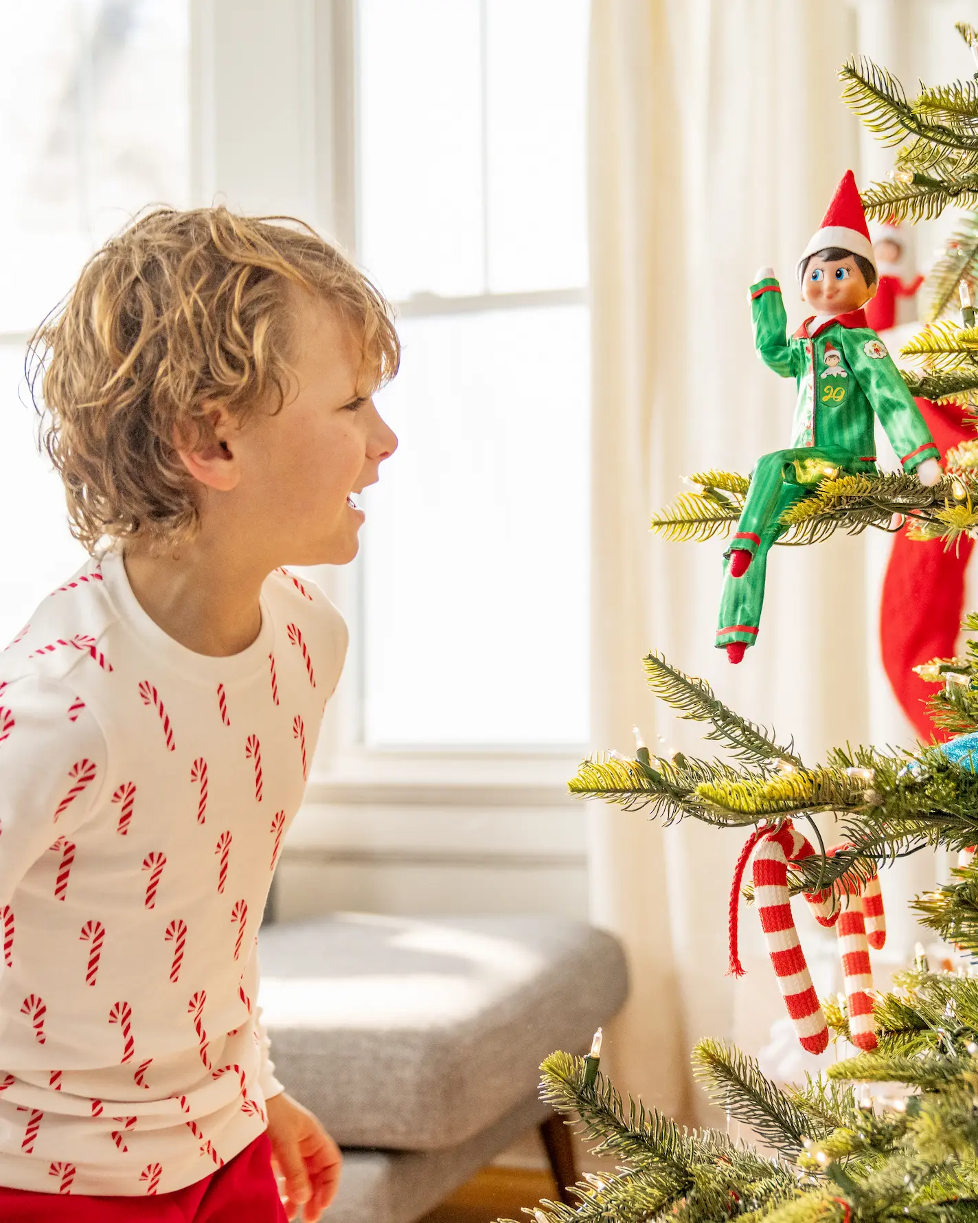 A boy discovers The Elf on the Shelf hiding in a Christmas tree