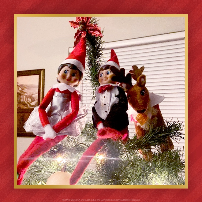 Two Scout Elves sit atop a Christmas tree
