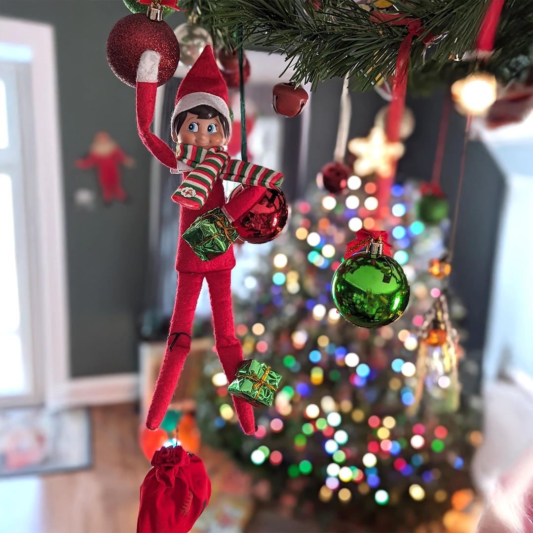 A Scout Elf is hanging from a strand of garland, strung with lights and ornaments. The Scout Elf is holding onto a few presents, as well as something that appears to be a miniature version of Santa's sack of presents. He is hanging onto ornaments.
