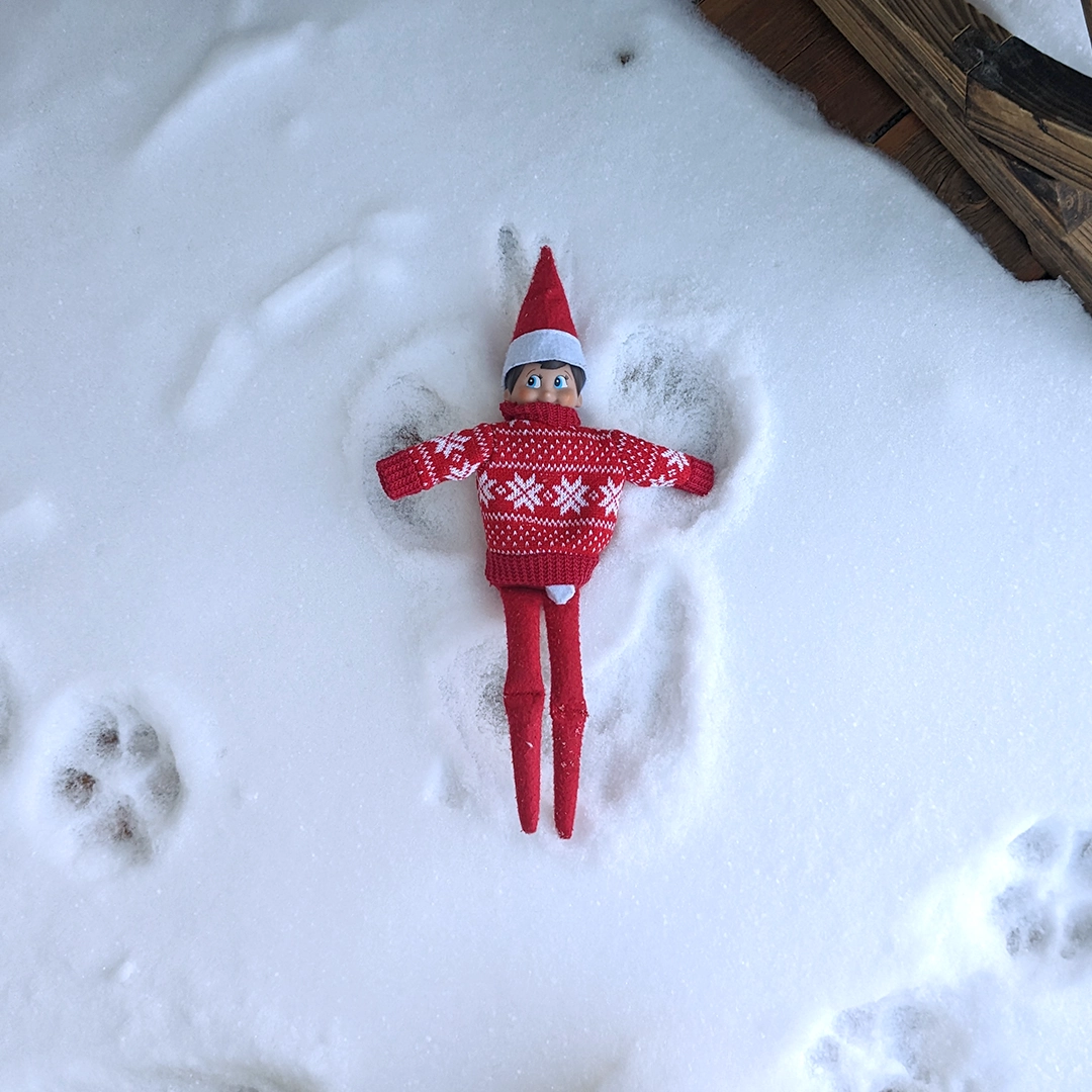 a Scout Elf adorning a red Christmas sweater with a snowflake pattern makes snow angels in the fresh, fallen powder!