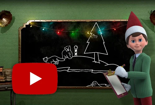 Mister Mittens holding a clipboard and pencil while standing in front of a chalkboard. On the chalkboard is a drawing of a polar bear and arctic fox standing on a snow-covered hill. On the hill there is also a drawing of a pine tree and the striped north pole pole. Next to the hill is a body of water and a seal sitting on an iceberg floating in the water. The YouTube logo is in the bottom left.