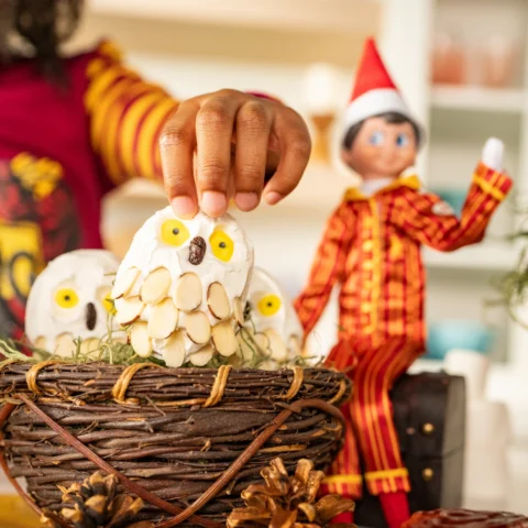 A Scout Elf in Harry Potter pyjamas sits beside a basket of Potter-themed owls as a young girl's hand picks up one of the owls