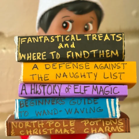 A Scout Elf holds a stack of books about elf magic