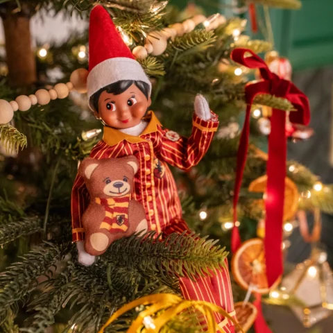 A brown-eyed Scout Elf sits cosily on a Christmas tree branch in Harry Potter-inspired pyjamas while cuddling a teddy bear wearing a Gryffindor scarf