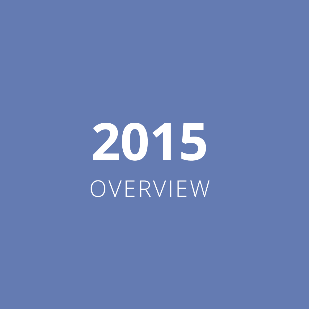 2015 Overview