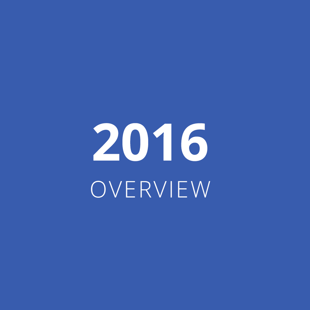 2016 Overview