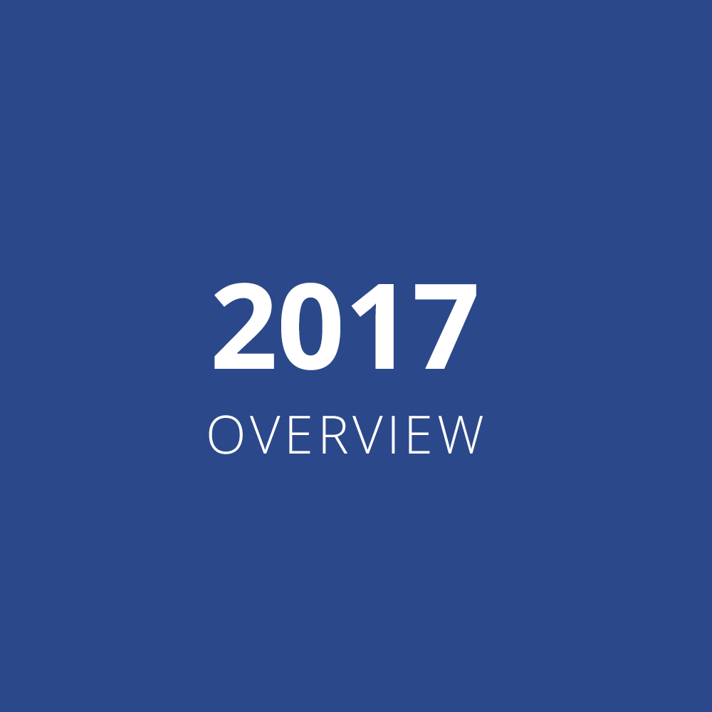 2017 Overview