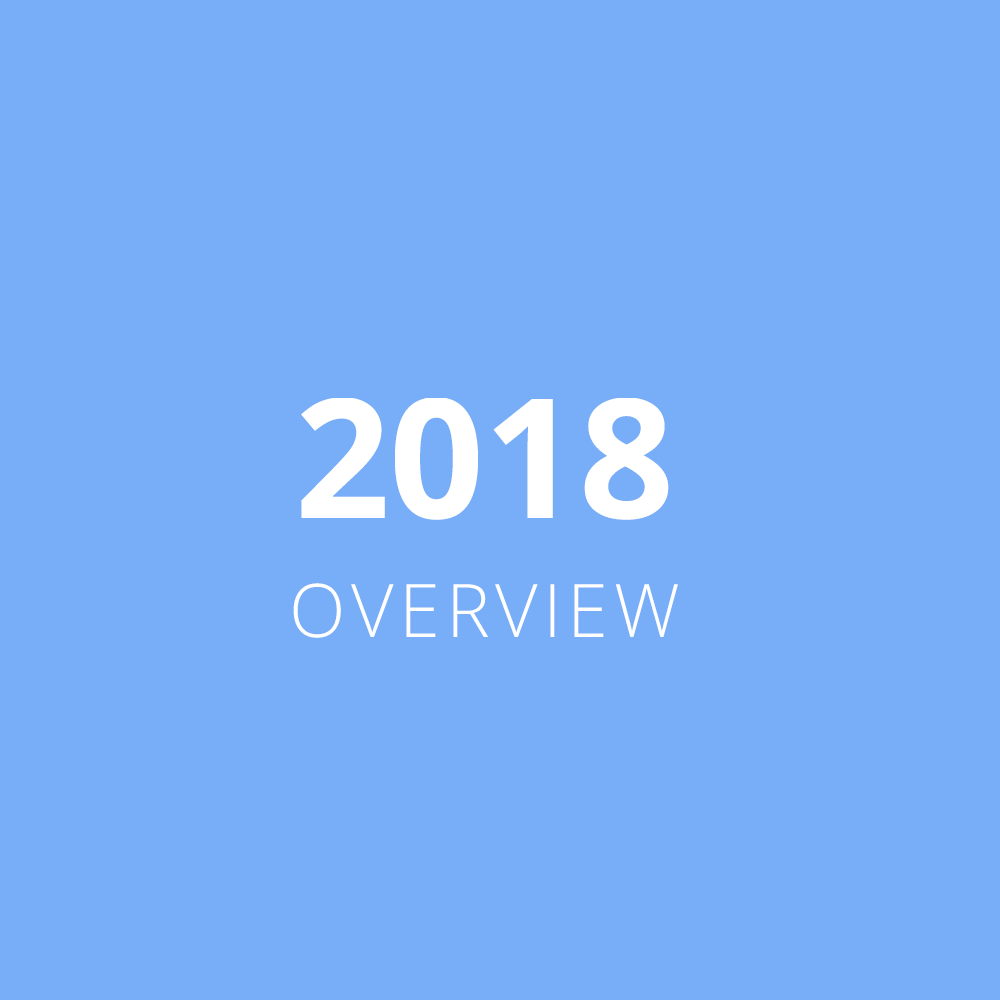 2018 Overview