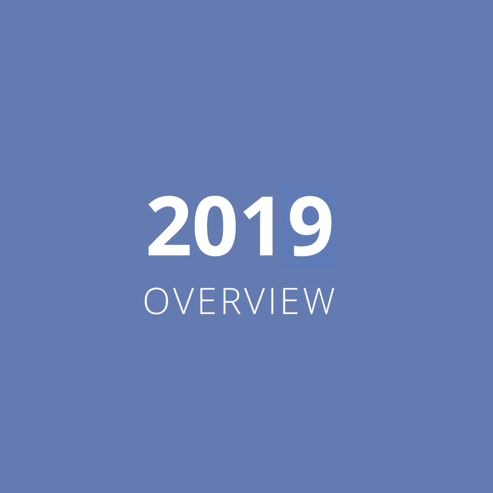 2019 Overview