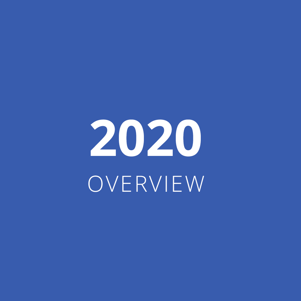 2020 Overview