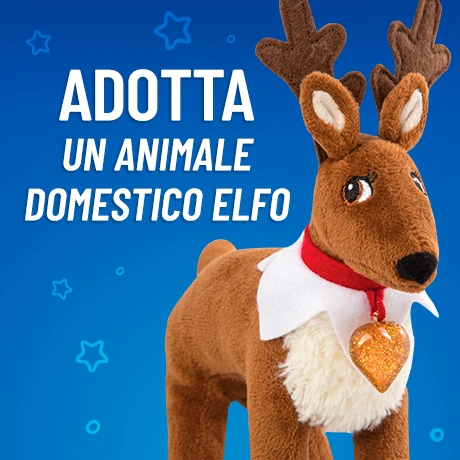 Adotta un Animale Domestico Elfo