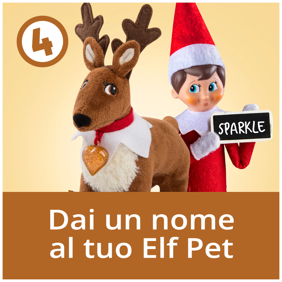 Dai un nome al tuo Elf Pet