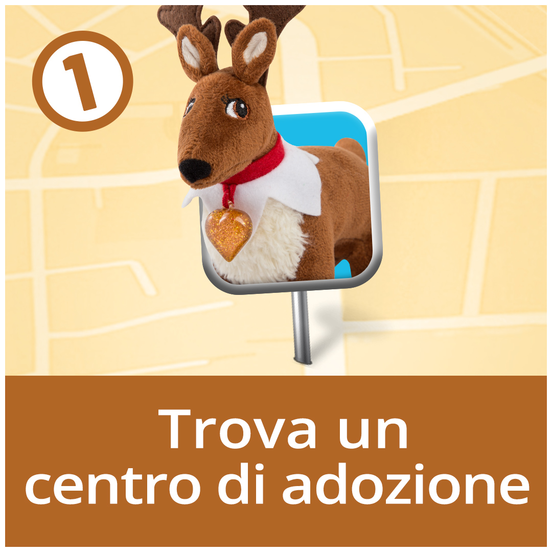 Trova un centro di adozione