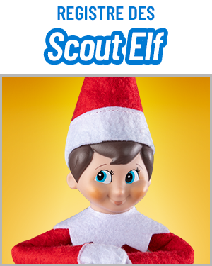 Registre Des Scout Elf