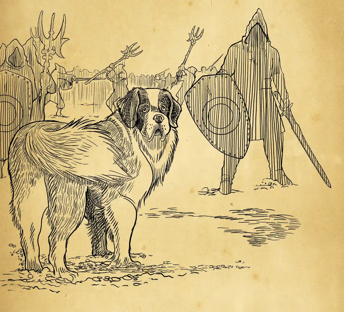 a pen and ink drawing of Barry the Saint Bernard standing in battle in front of warriors holding shields and swords