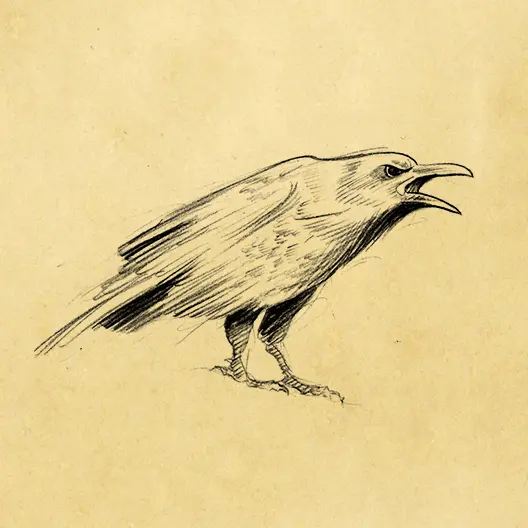A black pencil sketch of Gangleri's raven Munnin. The sketch is overlaid on a parchment paper background.