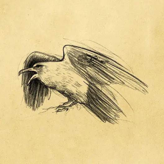 A black pencil sketch of Gangleri's raven Huggin. The sketch is overlaid on a parchment paper background.