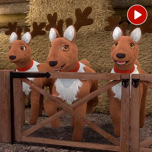 Three reindeer behind a wooden fence in the stables. Behind them are bales of hay. In the top right corner is a video icon.