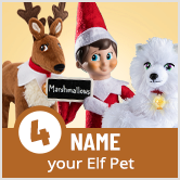 Name your Elf Pet