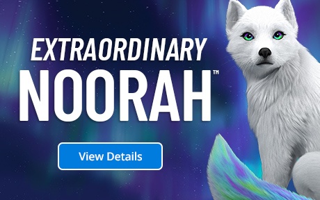 Extraordinary Noorah