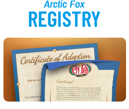 Elf Pets® Arctic Fox Registry