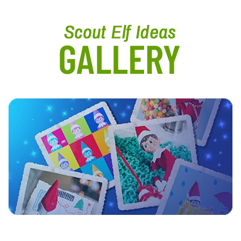Scout Elf Ideas Gallery