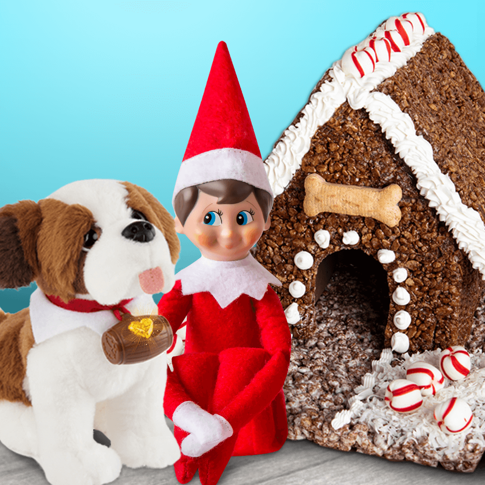 Coco Pops® Cottage for your Elf Pets®