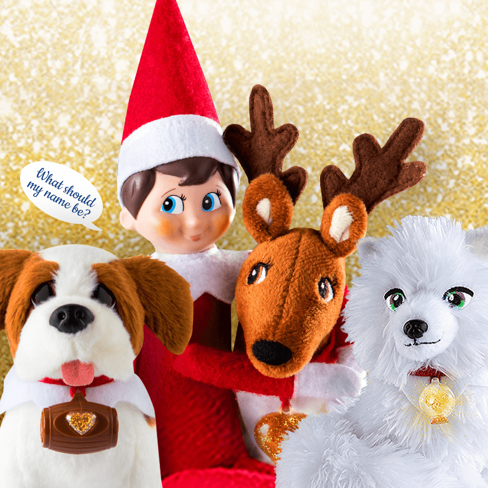 North Pole Naming Tips for Your Scout Elf, Reindeer and Saint Bernard