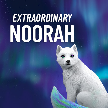 Extraordinary Noorah