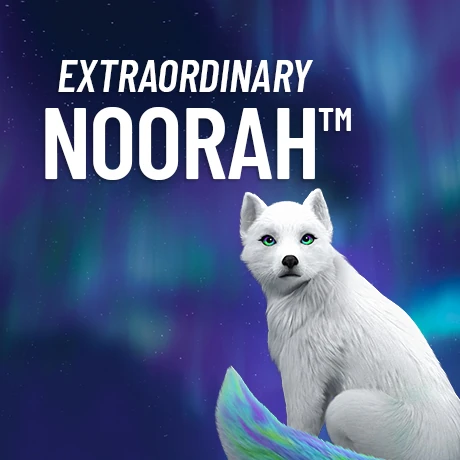 Extraordinary Noorah