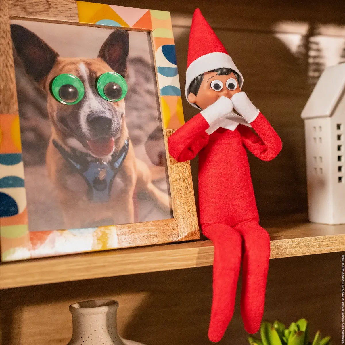 The Elf on the Shelf with googly eyes over his eyes sits next to a picture of a dog which also has googly eyes over its eyes