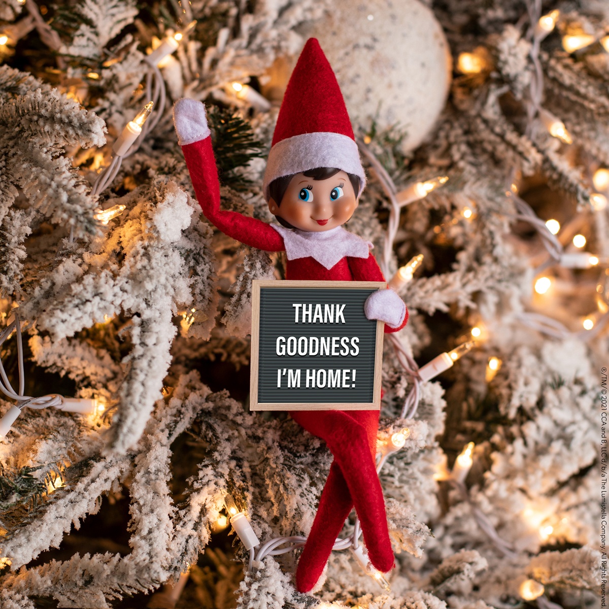 A Scout Elf in a frosted Christmas tree holds a letter board reading Thank Goodness I’m Home.